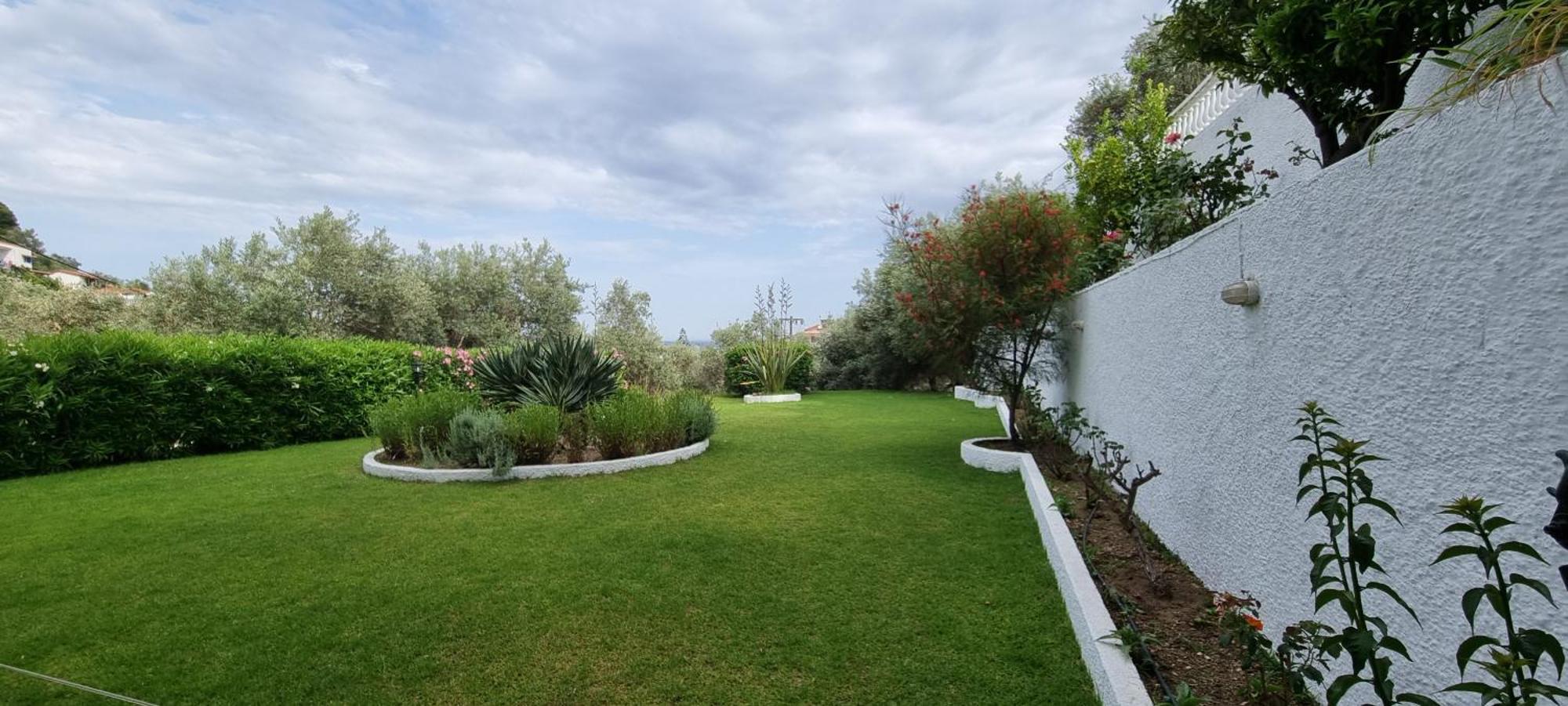 Olive Grove Studios Megali Ammos (Skiathos) Exterior foto