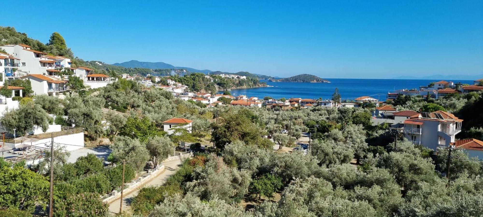 Olive Grove Studios Megali Ammos (Skiathos) Exterior foto