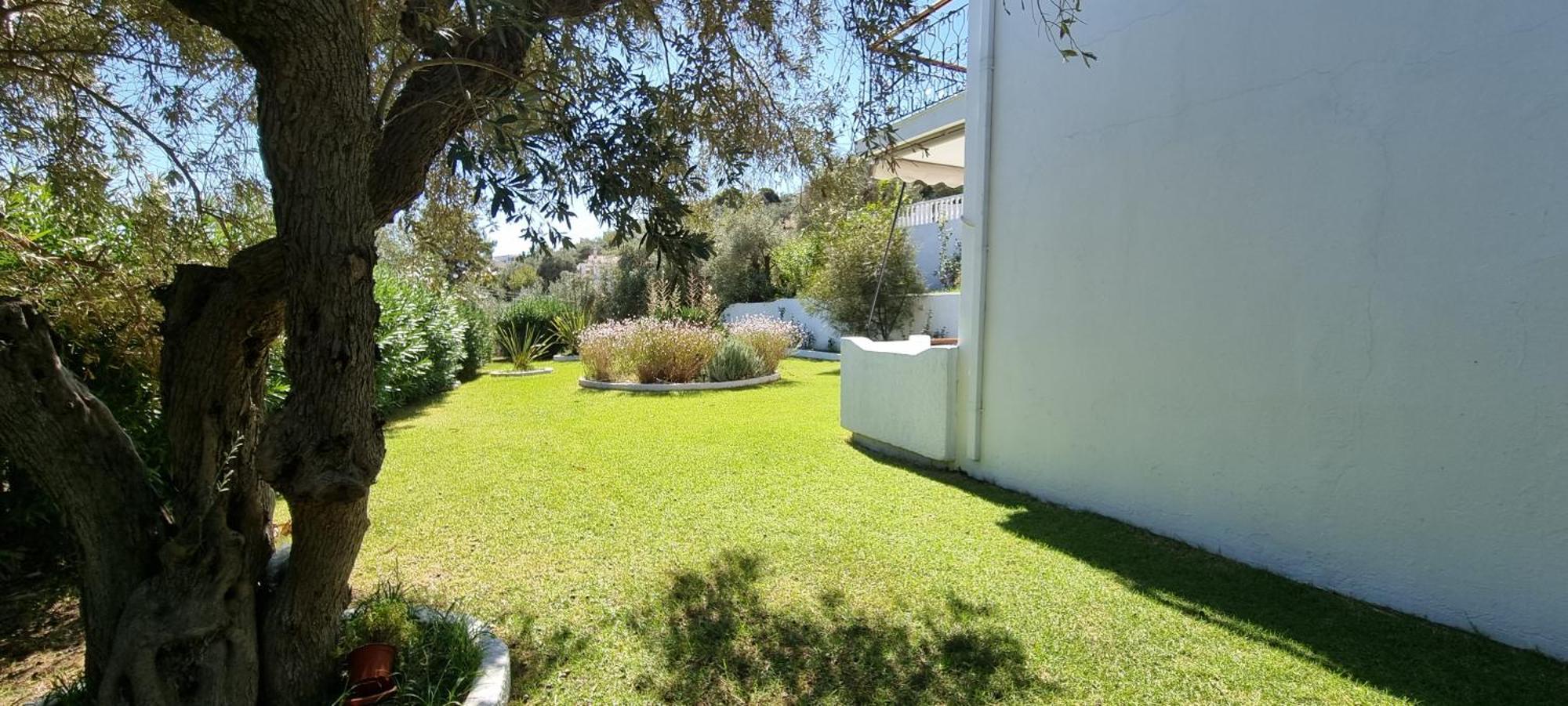 Olive Grove Studios Megali Ammos (Skiathos) Exterior foto